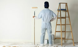 Look & Feel Paint Finishes