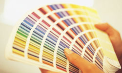 Professional Color Advice