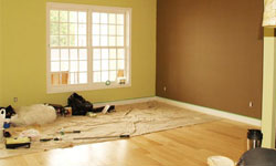 Professional Painting Service